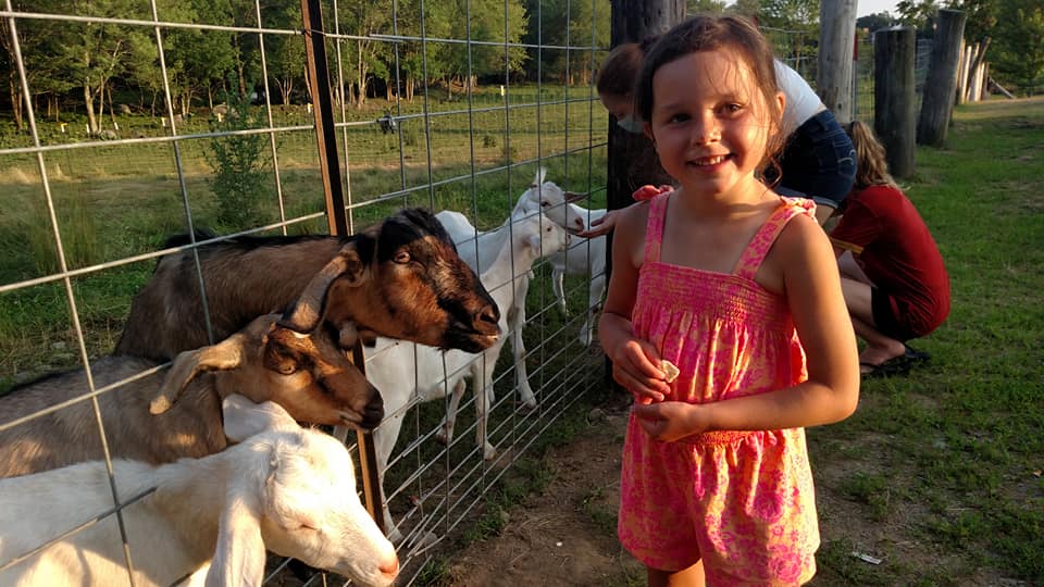 Goat Petting Zoo Rota Spring Farm