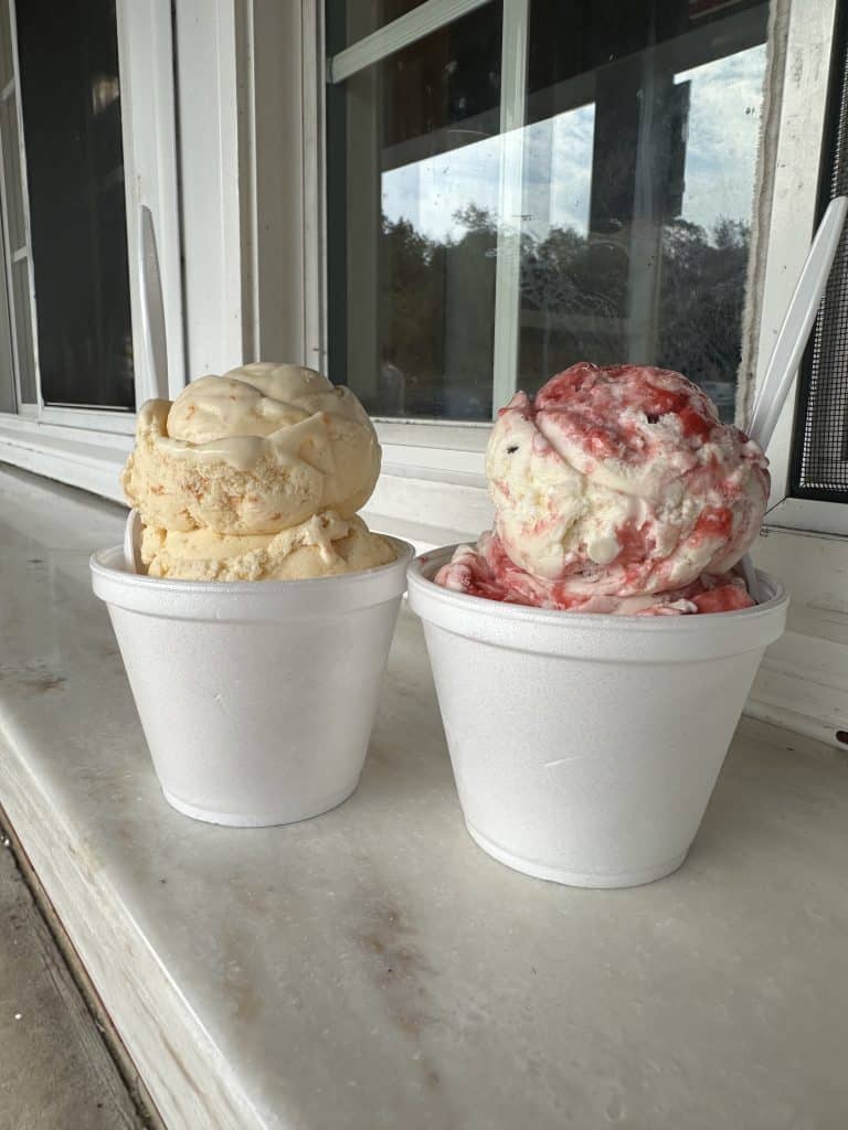 Peach and Raspberry Swirl