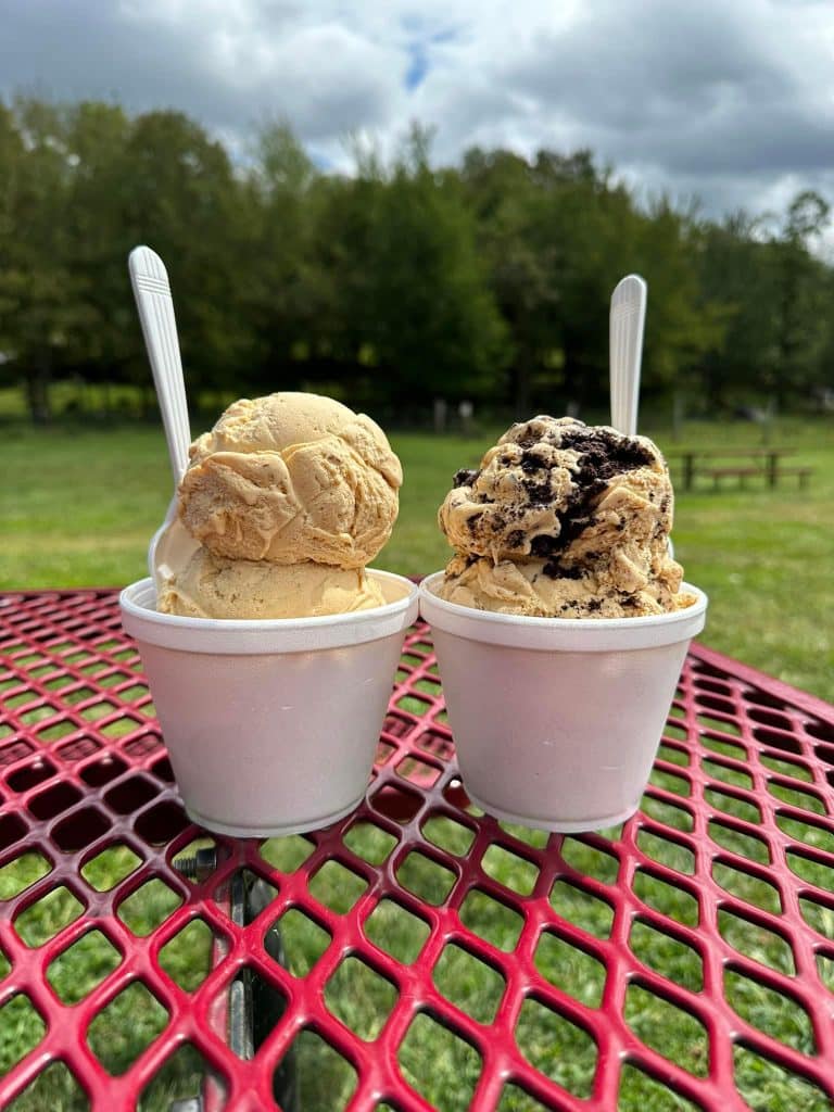 Pumpkin and Pumpkin Oreo