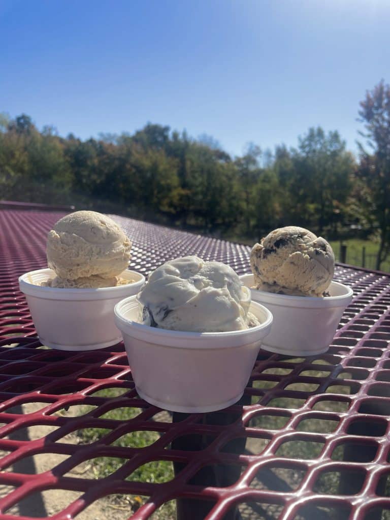 Pumpkin, Pumpkin Oreo and Rum Raisin