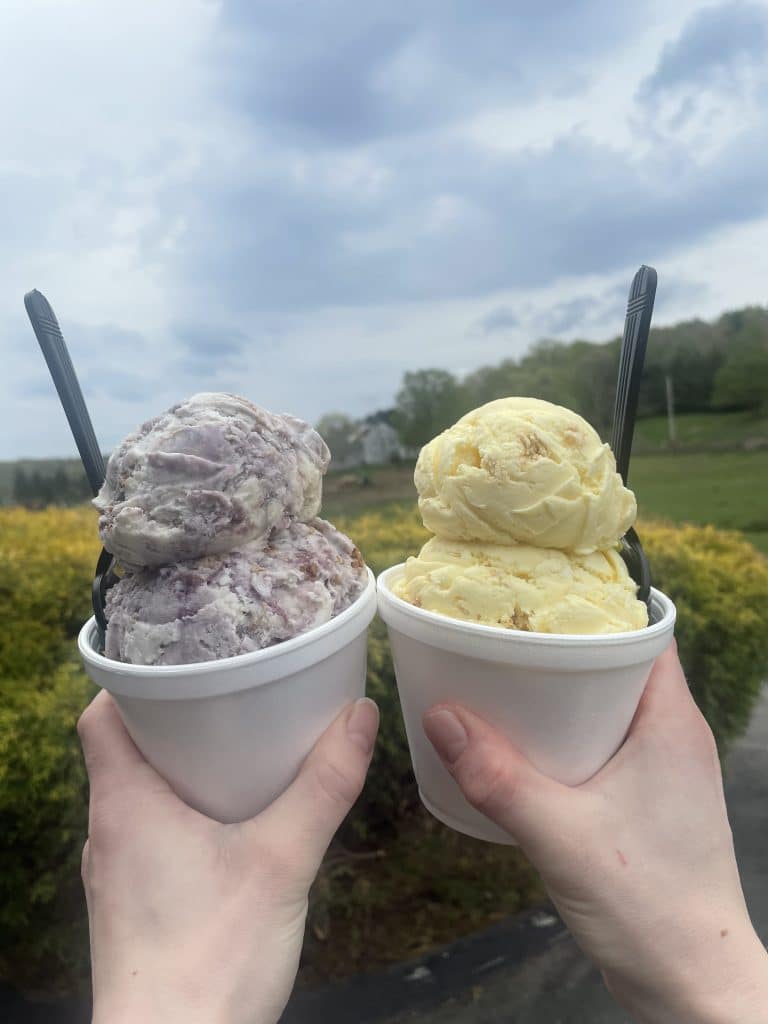 Blueberry Crumble and Lemon Dream
